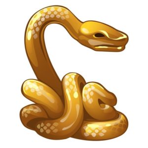 The Snake - Asian Horoscopes - Asianscopes - jessicaadams.com