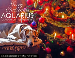 Aquarius Christmas gen Dog Animal Astrology Cards 600x464 1 300x232 - Christmas Dog E-Card Collection
