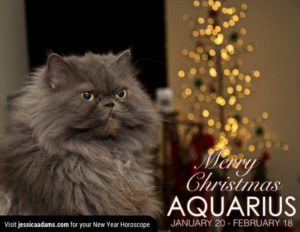 Aquarius Christmas generic Cat Animal Astrology Cards 600x464 1 300x232 - Christmas Cat E-Card Collection