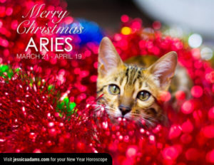 Aries Christmas generic Cat Animal Astrology Cards 600x464 1 300x232 - Christmas Cat E-Card Collection