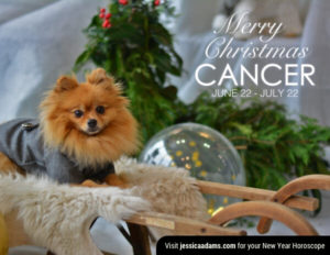Cancer Christmas gen Dog Animal Astrology Cards 600x464 1 300x232 - Christmas Dog E-Card Collection
