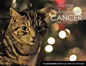 Cancer Christmas generic Cat Animal Astrology Cards 600x464 1 300x232 - Christmas Cat E-Card Collection
