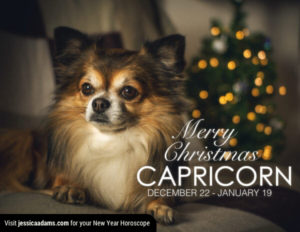 Capricorn Christmas gen Dog Animal Astrology Cards 600x464 1 300x232 - Christmas Dog E-Card Collection