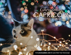 Capricorn Christmas generic Cat Animal Astrology Cards 600x464 1 300x232 - Christmas Cat E-Card Collection