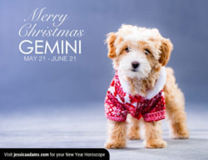 Gemini Christmas gen Dog Animal Astrology Cards 600x464 1 300x232 - Christmas Dog E-Card Collection