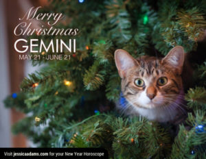 Gemini Christmas generic Cat Animal Astrology Cards 600x464 1 300x232 - Christmas Cat E-Card Collection