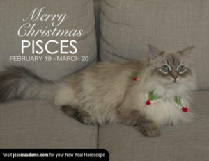 Pisces Christmas generic Cat Animal Astrology Cards 600x464 1 300x232 - Christmas Cat E-Card Collection