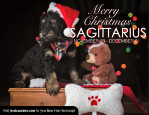 Sagittarius Christmas gen Dog Animal Astrology Cards 600x464 1 300x232 - Christmas Dog E-Card Collection