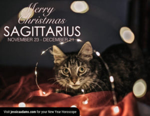 Sagittarius Christmas generic Cat Animal Astrology Cards 600x464 1 300x232 - Christmas Cat E-Card Collection