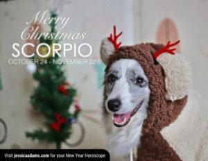 Scorpio Christmas gen Dog Animal Astrology Cards 600x464 1 300x232 - Christmas Dog E-Card Collection
