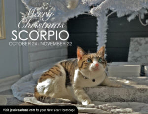 Scorpio Christmas generic Cat Animal Astrology Cards 600x464 1 300x232 - Christmas Cat E-Card Collection