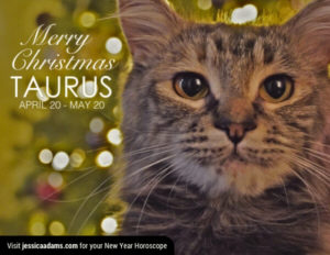 Taurus Christmas generic Cat Animal Astrology Cards 600x464 1 300x232 - Christmas Cat E-Card Collection