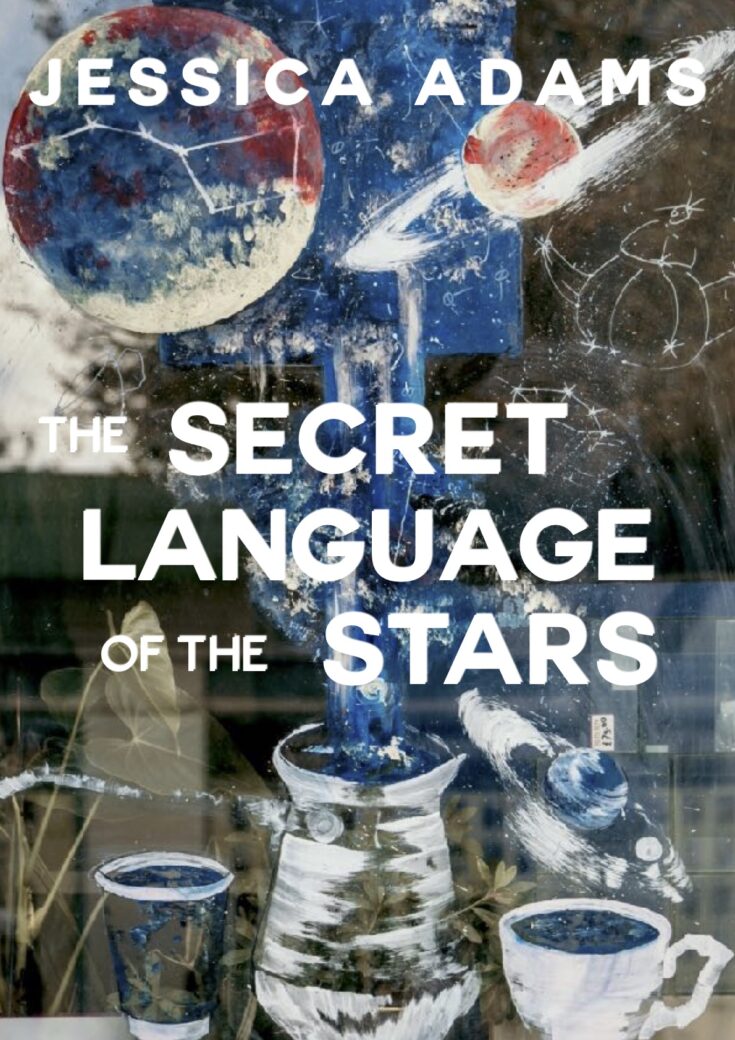 Book cover - The Secret Language of the Stars