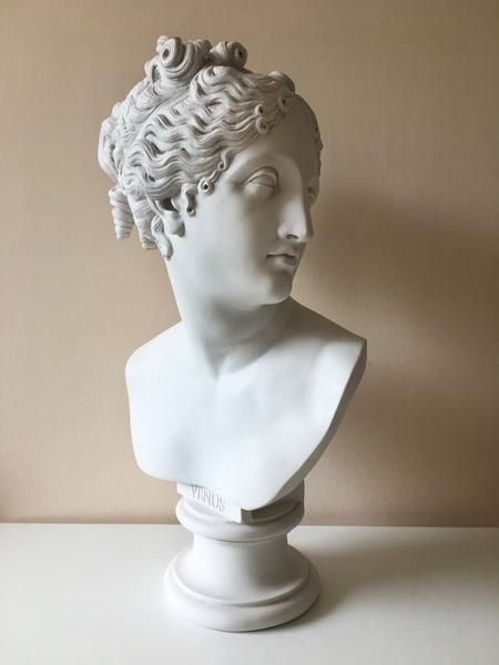Venus Bust Sculpture - Introduction to Astrology: And Venus Was Her Name